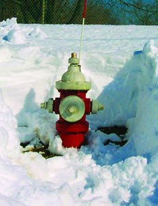 District_Hydrant_DugOut